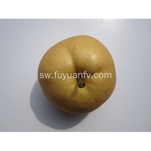 Singao Pear safi kutoka jimbo la Shandong